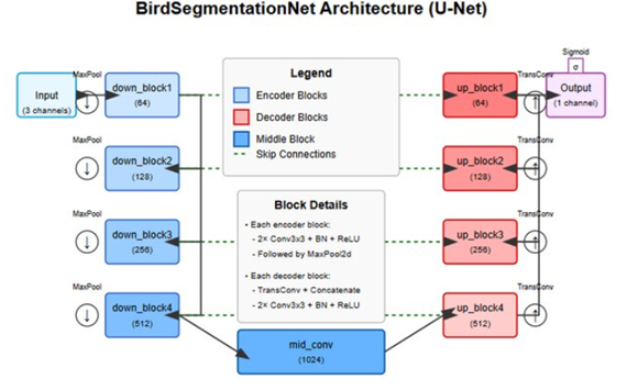 Bird Sound Spectrograms