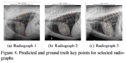Key Points Localization
